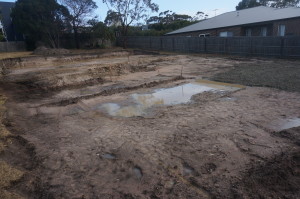 Watson Road site cut 3